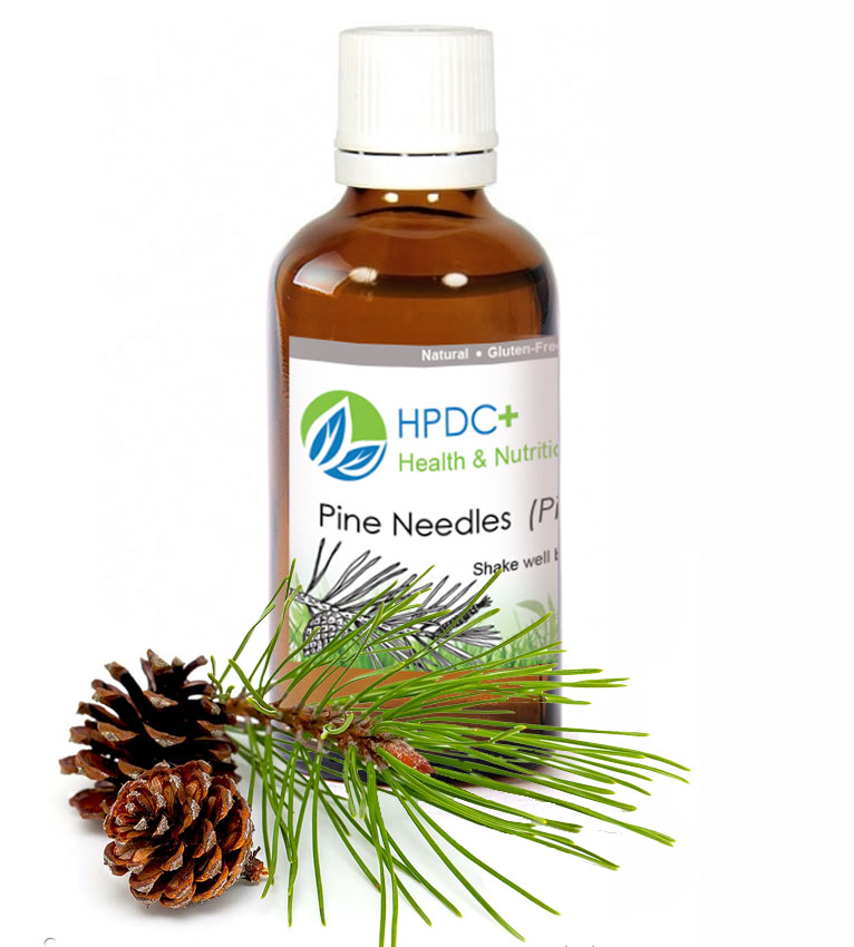 Benefits Of White Pine Needle Tincture at James Cox blog